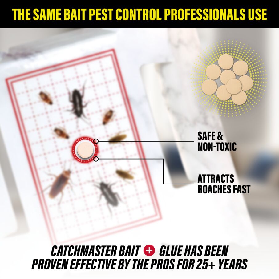 CX Cockroach Trap with Powerful Food-Based Bait – Glue Traps (10-Pk)