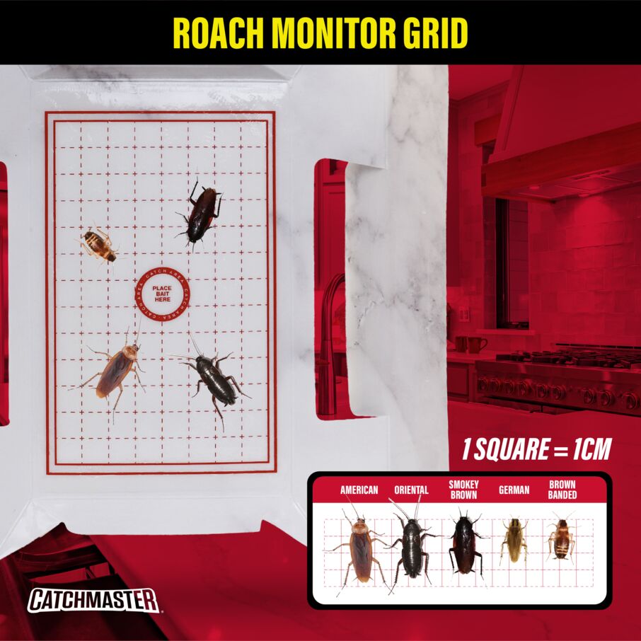 CX Cockroach Trap with Powerful Food-Based Bait – Glue Traps (10-Pk)