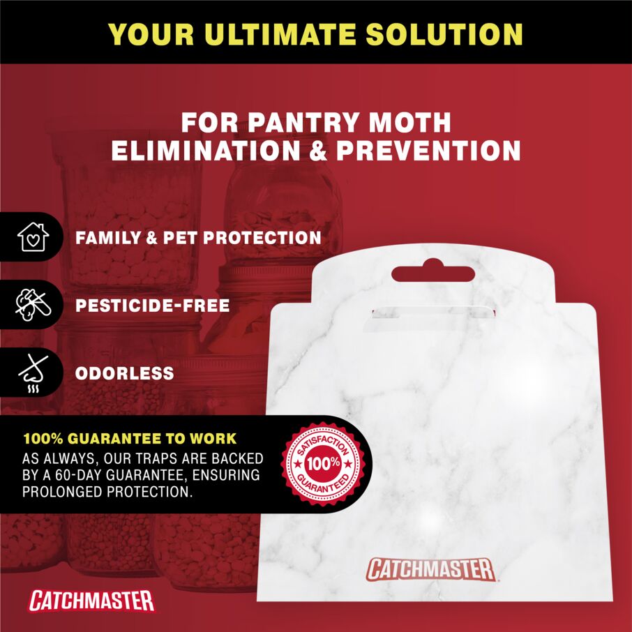 Cx Premium Pantry Moth Traps with Patented XL - Marble