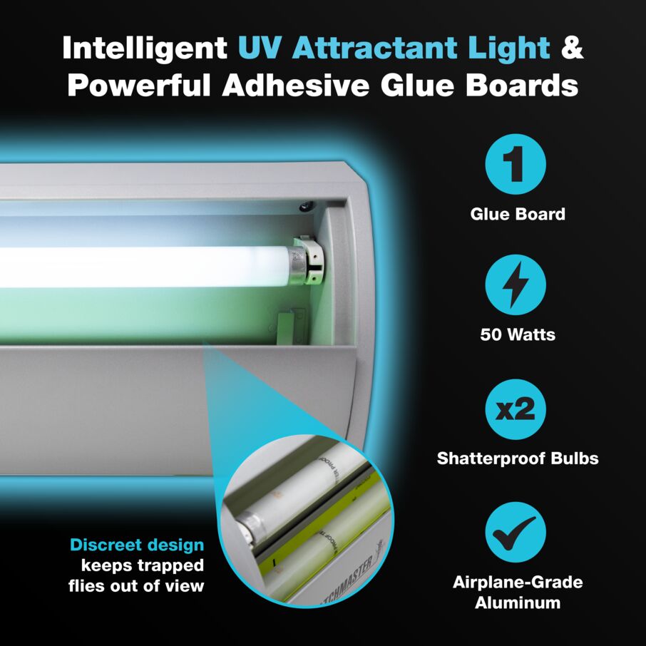 Intelligent UV Attractant Light and Adhesive Glue fly trap for Effective Pest Control