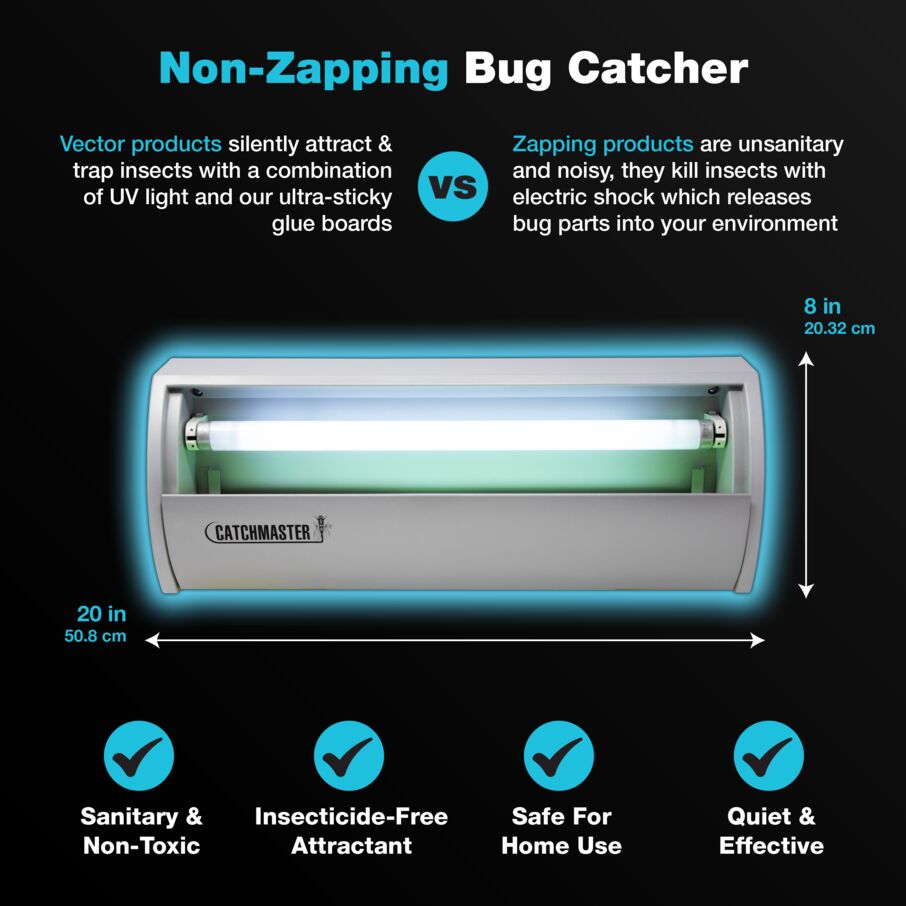 non zapping bug catcher, attracting fly trap using light and trapping with glue