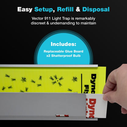 Step-by-step guide to setup, refill, and dispose of light attractant fly trap glue boards