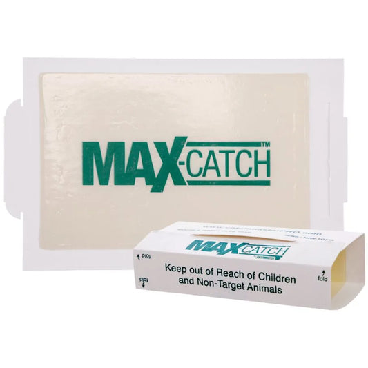 CatchmasterGRO Max Catch Glue Board Traps - Unscented