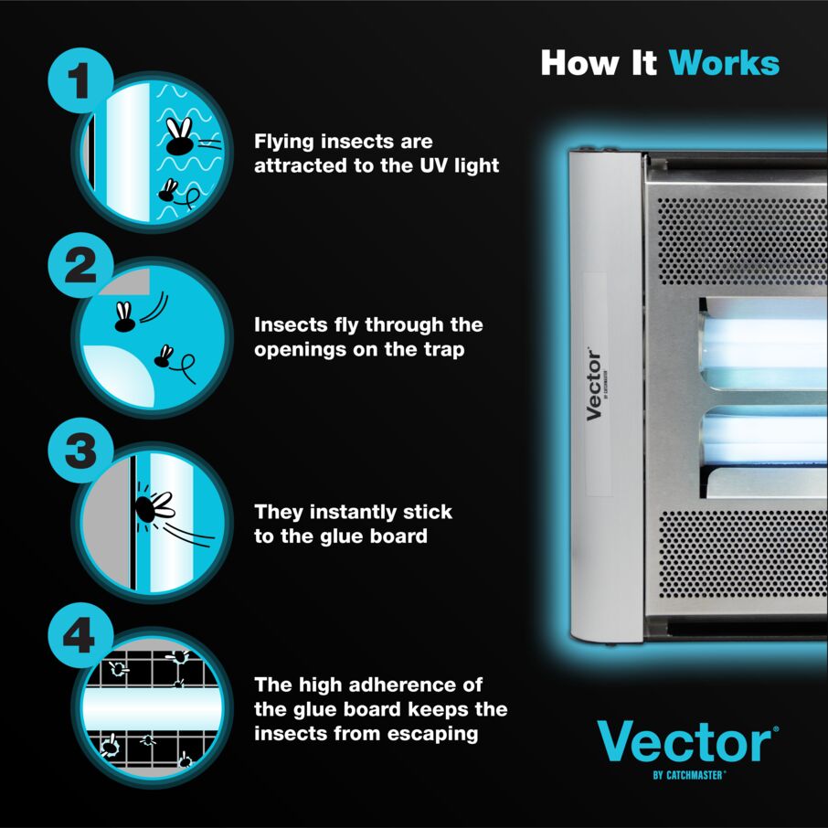 Vector Plasma Screened UV Light Fly Trap