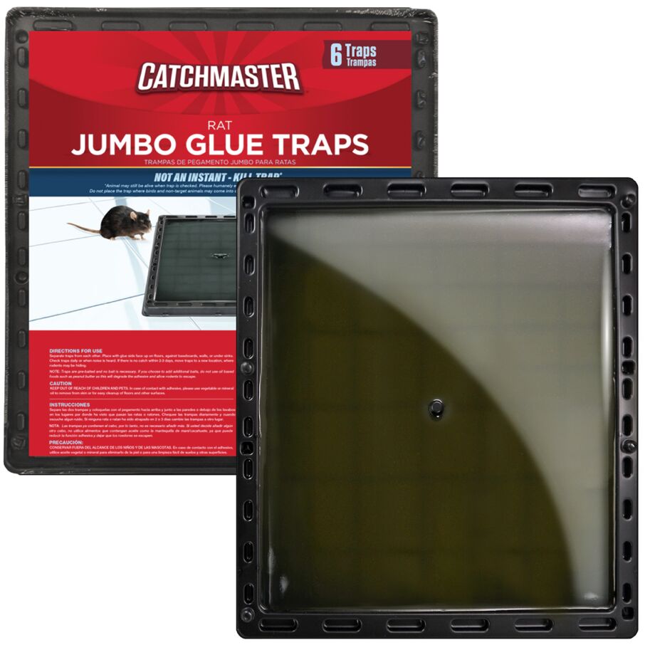 Rat Jumbo Glue Tray Hero