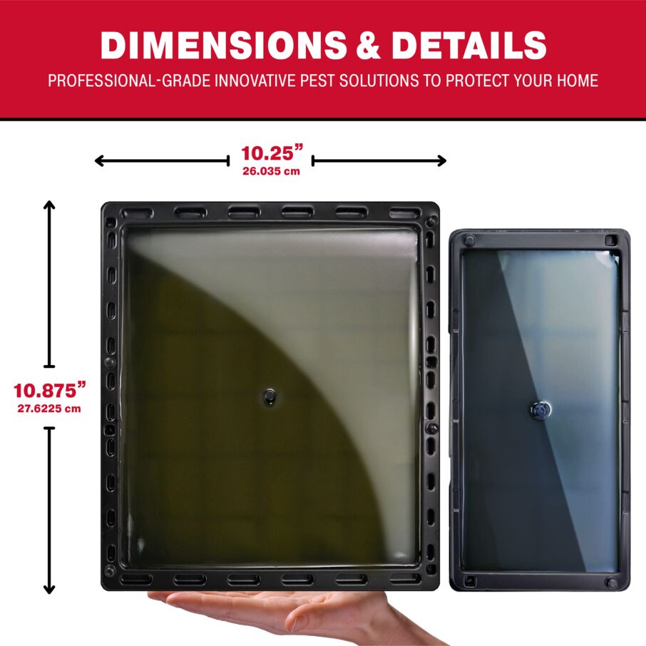 Rat Jumbo Glue Tray Size Chart